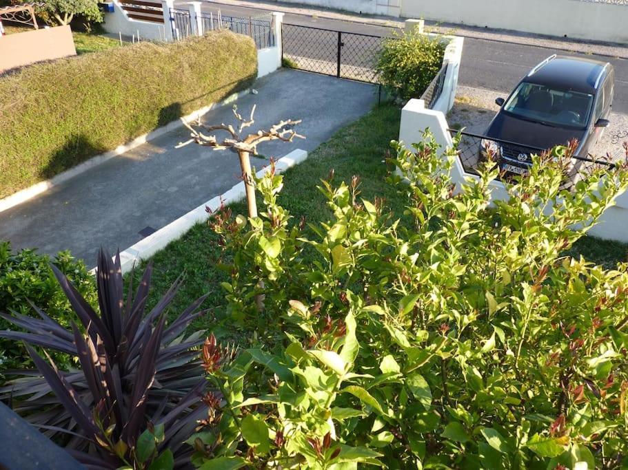 Hébergement de vacances De Standing Proche D'argeles Sur Saint-André